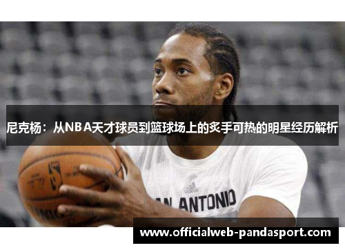 尼克杨：从NBA天才球员到篮球场上的炙手可热的明星经历解析