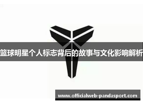 篮球明星个人标志背后的故事与文化影响解析