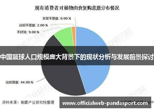 中国篮球人口规模庞大背景下的现状分析与发展前景探讨